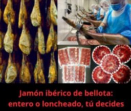 Jamón ibérico de bellota 